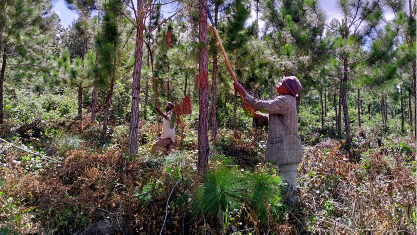 Environmental Education